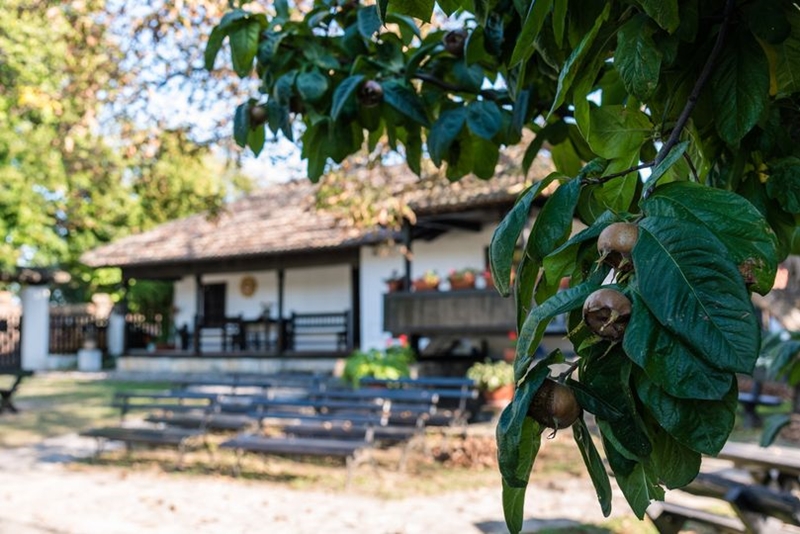 РЕЗУЛТАТИ ГОДИШЊЕГ КОНКУРСА за излагачку сезону 2026. године 